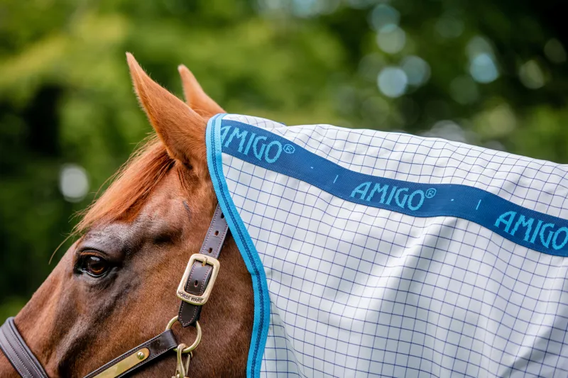 Horseware Amigo Aussie Allrounder Disc Front-3